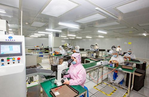 奮進(jìn)在春光里 電子信息產(chǎn)業(yè)滿園春色，信息技術(shù)咨詢服務(wù)賦能向海圖強(qiáng)